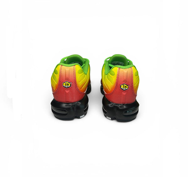 rasta pulse tns