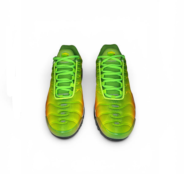rasta pulse tns