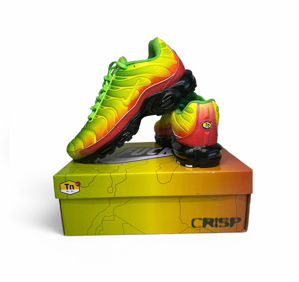 rasta pulse tns